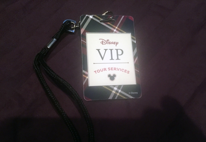 Disney VIP Tour pass